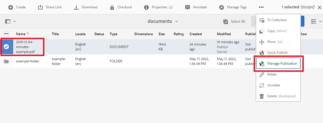 Manage Publication