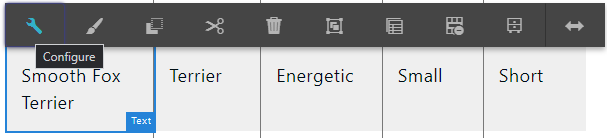 Configure Text Component on Manual Data Table