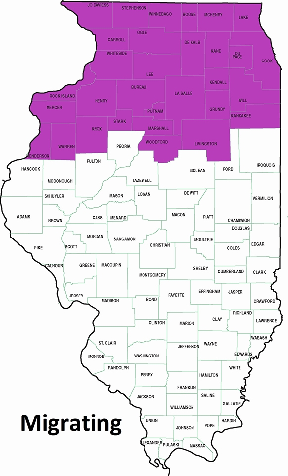map showing migration through northern third of Illinois