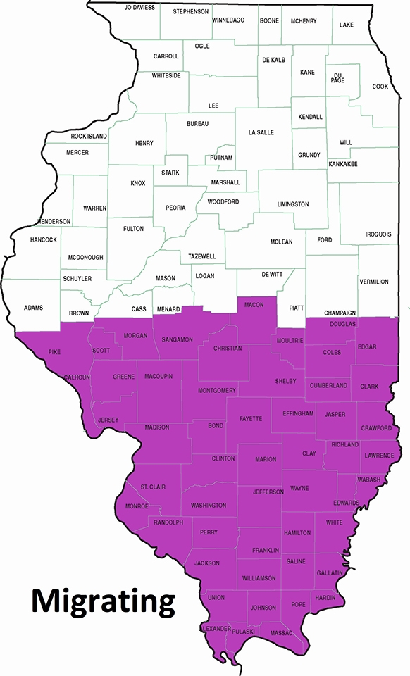 map showing migration area through southern half of Illinois