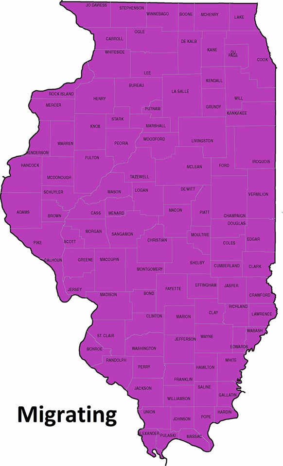 map migration statewide