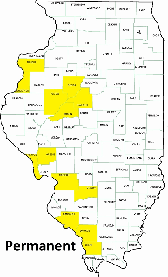 map white catfish