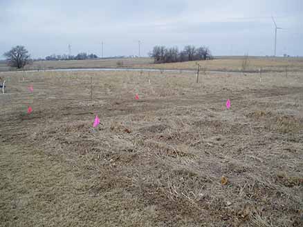 field marked with surveyor flags
