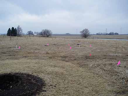 field marked with surveyor flags