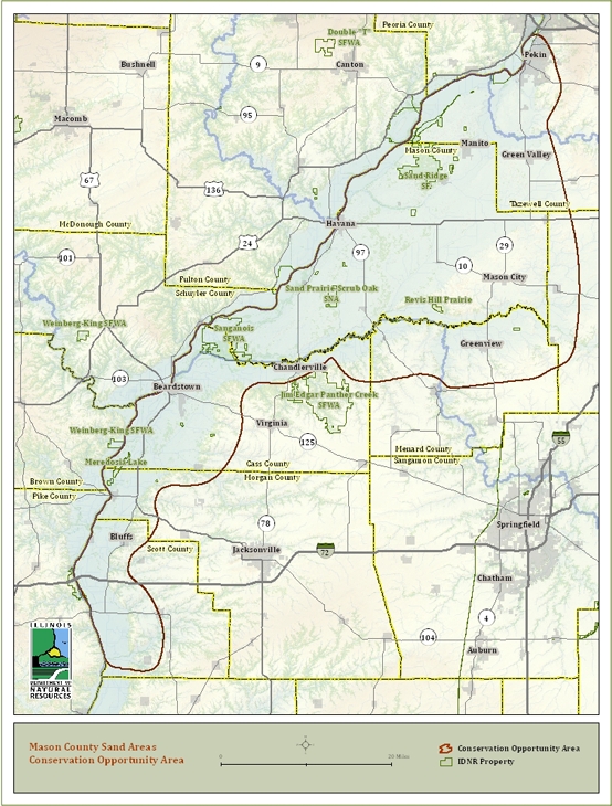 Mason County Sand Areas