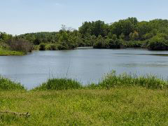 Mautino Goose Pond