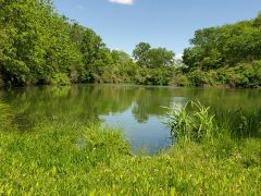 Mautino Boss Lake