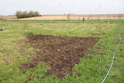 dirt plot ready for planting