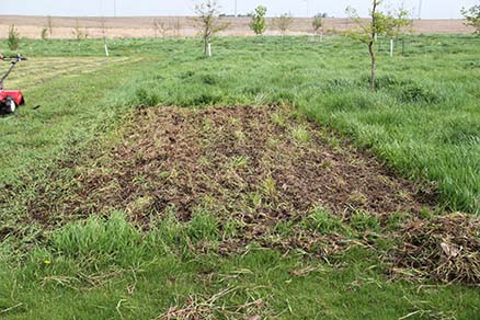 field preparation