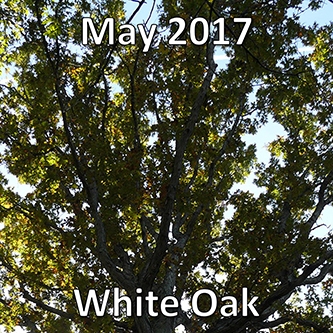 May 2017