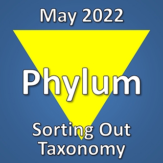 May 2022