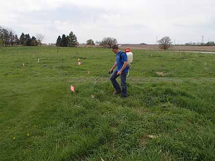 man spraying grass field