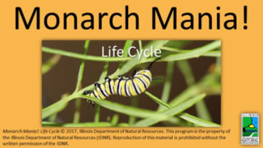 Field Day: Monarch butterflies and wetlands - June 14