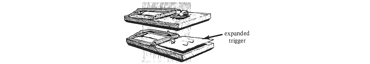 Trapping Rodents: A Beginner's Guide - Pestology