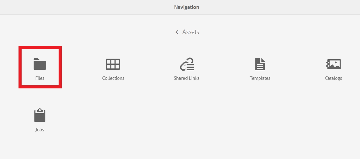 Files Icon on AEM Navigation Page Outlined in Red