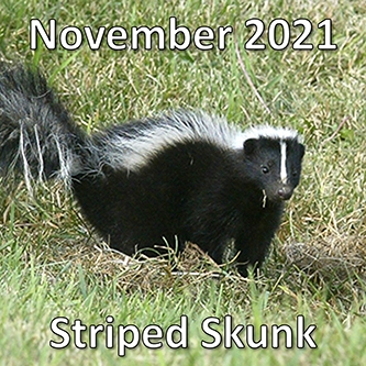 November 2021