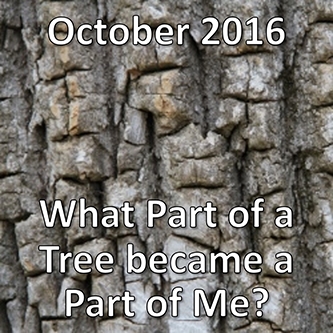 October 2016 - What part of a tree became a part of me.