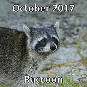 October 2017