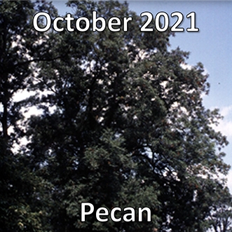 October 2021