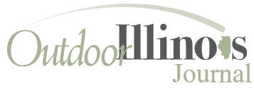 OI Online Logo