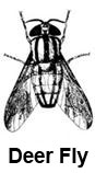 pcflies-clip-image005