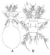 pcmites-clip-image002