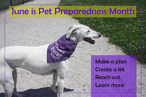 PetPreparednessMonth