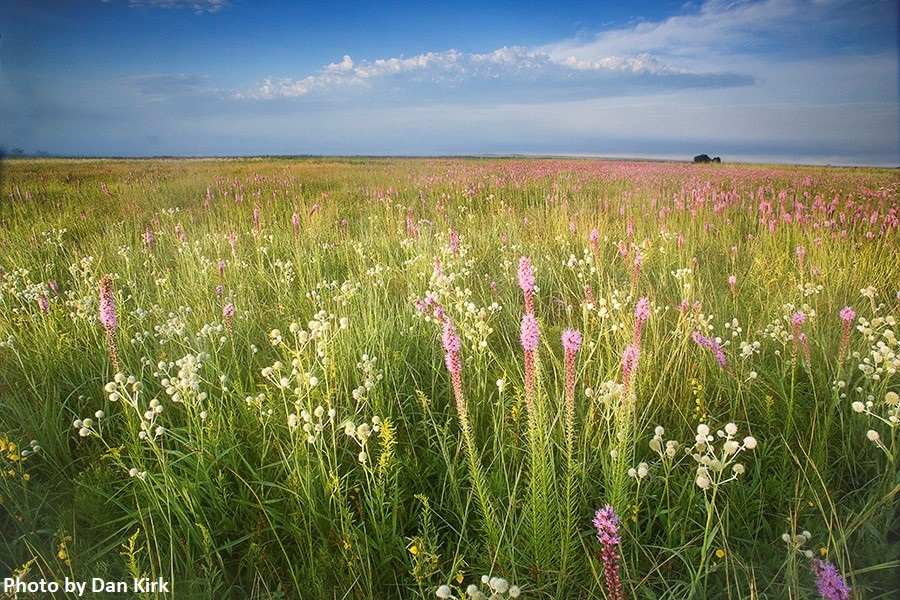 Prairie landscape taken by Dan Kirk