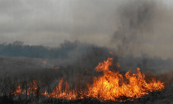 Conservation Stewardship Program