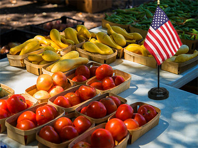 Roadside stand with flag