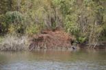 PublicHuntingAreas2