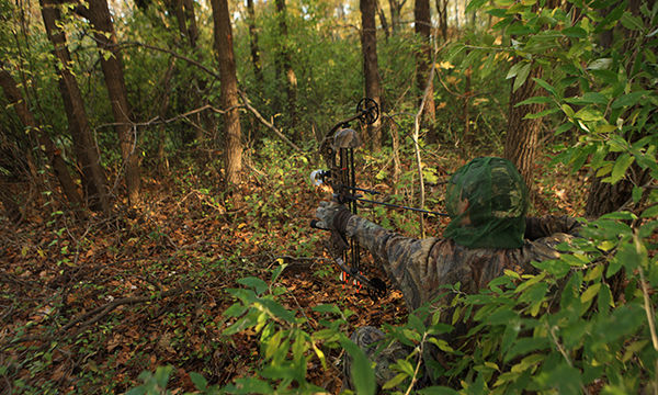 Pota at Red Hill State Hill State Park K-1018 with the Reel Pota-able EFHW  