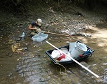 salinebranch-aquaticinsectsampling