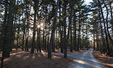 Sand Ridge - Photo 3