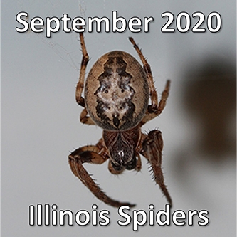 September 2020