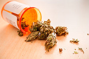 Kentucky Medical Marijuana Madisonville Kentucky
