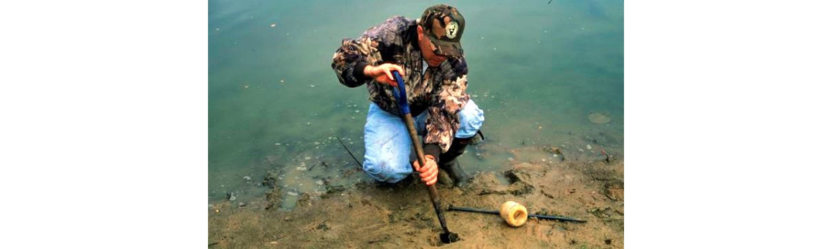 Bob Bluett setting egg trap