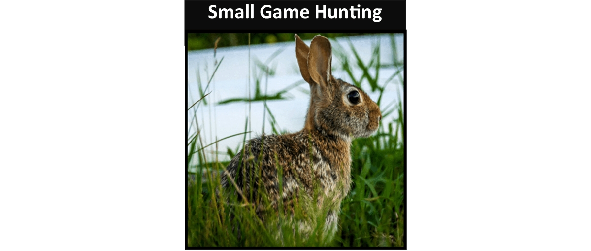 Small Game Hunting