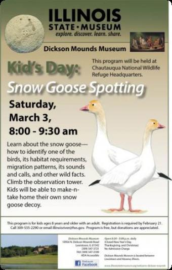 snow_goose_spotting