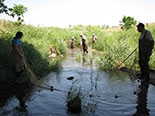 conducting spoon fish survey