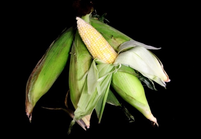 Sweet Corn