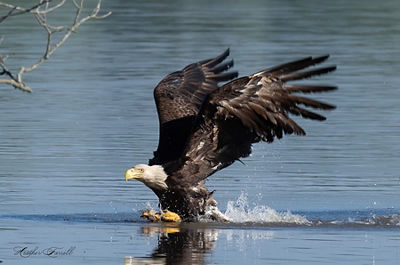 � Illinois Department of Natural Resources