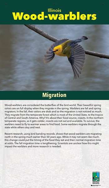 thumbnail migration - b