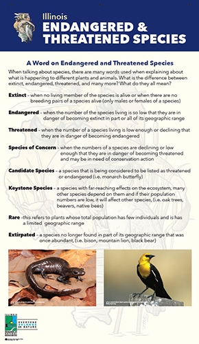 thumbnail word on species