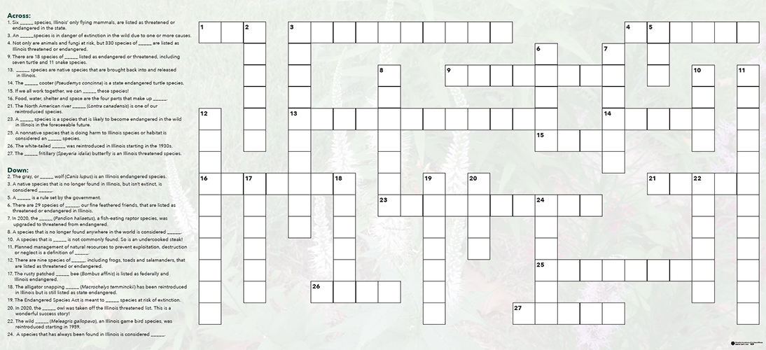 2024 Crossword Puzzle