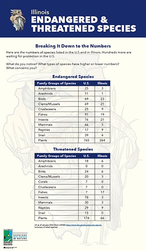 thumbnail species numbers
