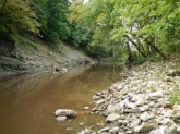stony-crk-picture1-near-rt-150-bridge-looking-upstream