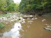 stony-crk-picture2-near-rt-150-bridge-looking-downstream