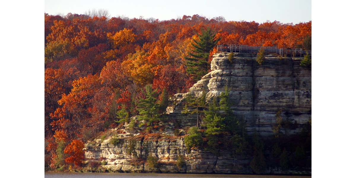 Why Do Leaves Change Color in the Fall? - Coastal Interpretive Center