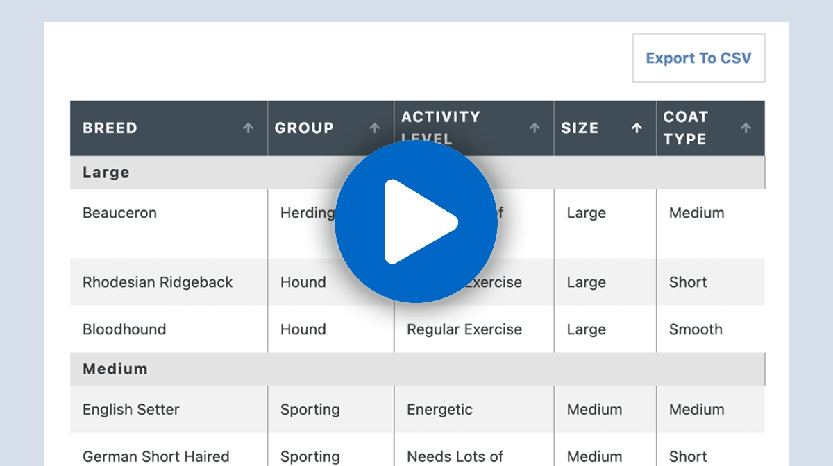 Thumb Datatable CSV